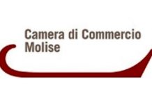 Camera di Commercio del Molise