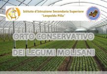 orto-conservativo-dei-legumi-molisani