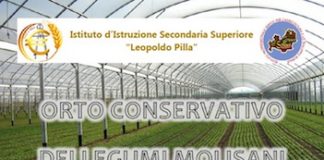 orto-conservativo-dei-legumi-molisani