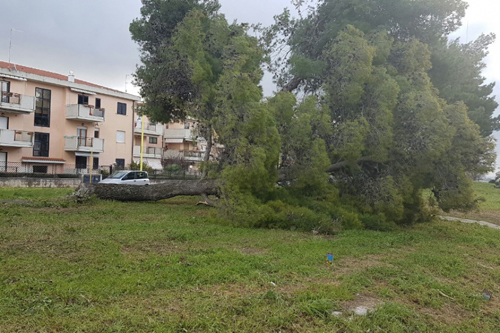 Termoli, maltempo: si stimano i danni a produzioni e impianti Termoli stato di emergenza