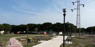 Sant'Alfonso piantati 40 alberi