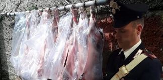 Isernia, sequestrati prodotti alimentari in pessimo stato di conservazione