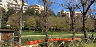 incendio parco Termoli