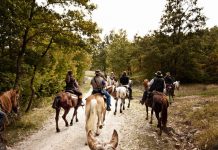 Equiraduno nazionale 2017 in Molise a Sepino dal 22 al 25 giugno