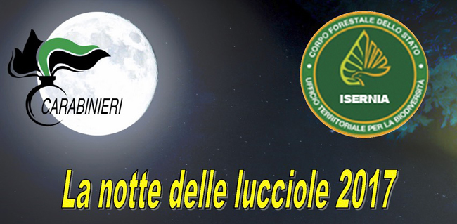 La-Notte-delle-Lucciole-2017-Isernia