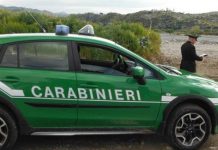auto Carabinieri