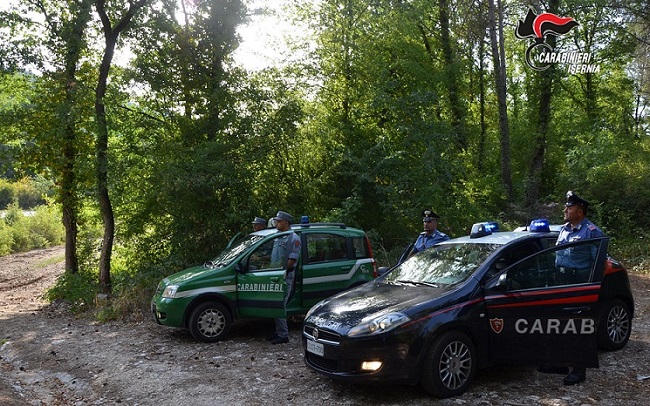 Isernia, controlli antibracconaggio: denunciati due cacciatori