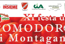 festa del pomodoro di montagano