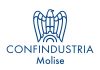 Confindustria Molise logo