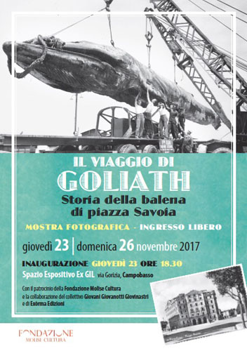 mostra Il Viaggio di Goliath