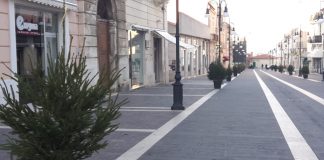 Alberi natale corso