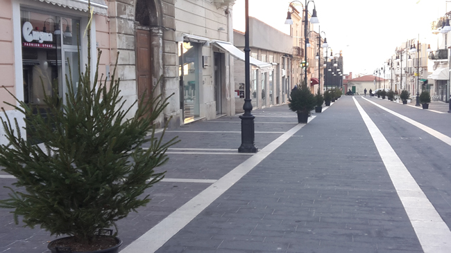 Alberi natale corso