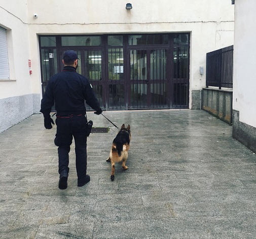 Agnone, proseguono i controlli antidroga nelle scuole