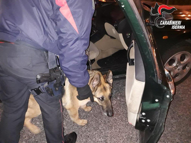 Isernia, Carabinieri: proseguono serrati i controlli