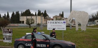 Controlli Carabinieri Isernia controlli