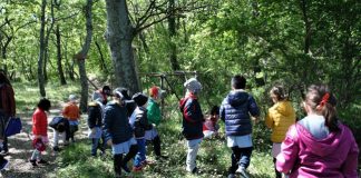 bambini bosco del cuore