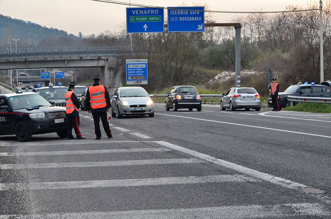 Venafro, due cani di grossa taglia sulla SS85: pronto intervento dei Carabinieri