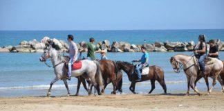 passeggiata a cavallo Termoli