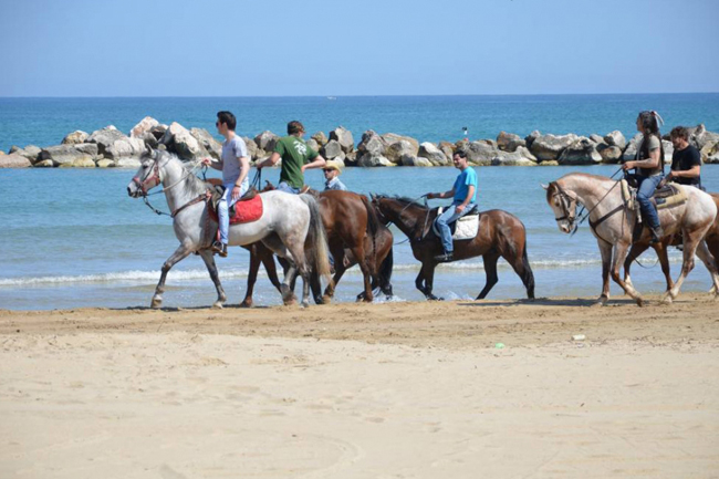 passeggiata a cavallo Termoli