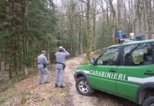 reparto carabinieri biodiversità isernia