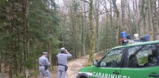 reparto carabinieri biodiversità isernia