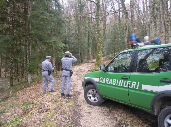 reparto carabinieri biodiversità isernia