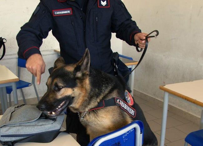 Isernia, droga tra i banchi di scuola e nel sottopassaggio della stazione