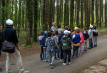 Visita guidata alunni riserva naturale Montedimezzo