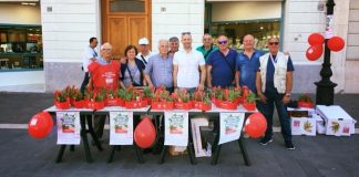 Termoli sociale 860 euro raccolti ricerca SLA