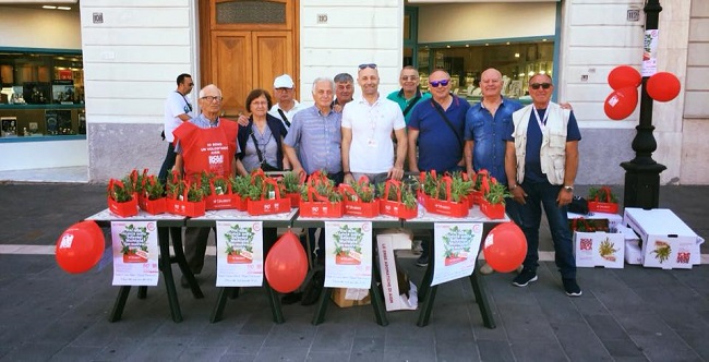 Termoli sociale 860 euro raccolti ricerca SLA