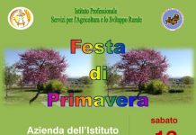 Festa Primavera domani Pilla Campobasso