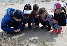 Petacciato Scuola Materna: gli alunni scoprono mondo natura