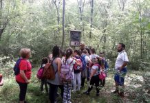 La Bottega degli Incanti visita guidata Bosco Corundoli