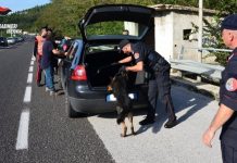 controlli Carabinieri cinofili