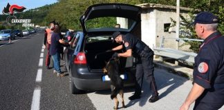 controlli Carabinieri cinofili