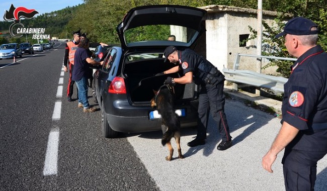 controlli Carabinieri cinofili