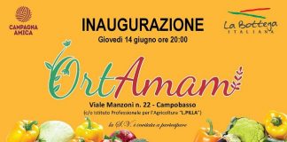 Campobasso nasce prima Bottega Italiana interno scuola