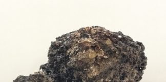 anfora ritrovata Termoli