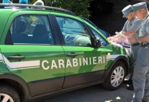 controlli carabinieri forestale