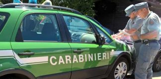 controlli carabinieri forestale