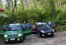 controlli carabinieri forestale