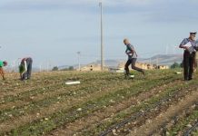 controllo impresa agricola