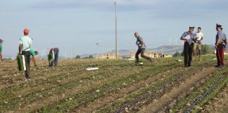 controllo impresa agricola