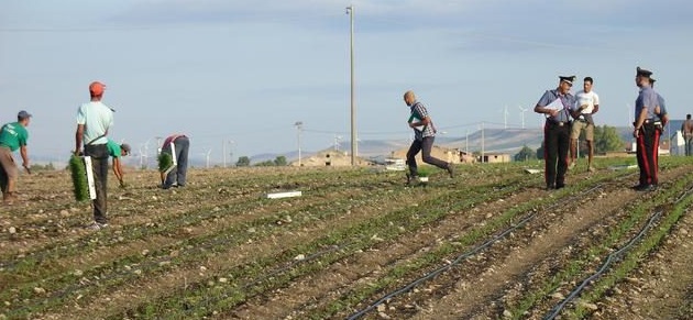 controllo impresa agricola