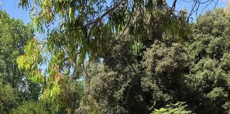 parco comunale Termoli
