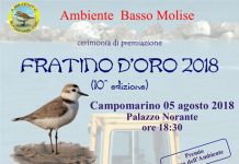 Premio Fratino d'oro 2018 Campomarino