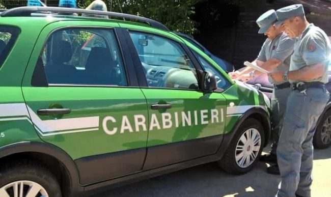 Isernia - Carabinieri forestali