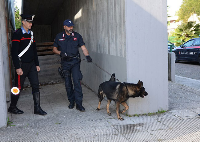 carabinieri cinofili