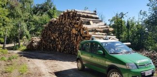 controlli carabinieri forestale