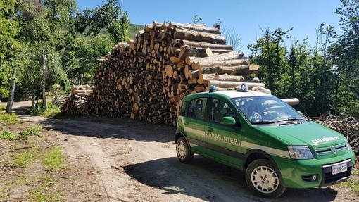 controlli carabinieri forestale